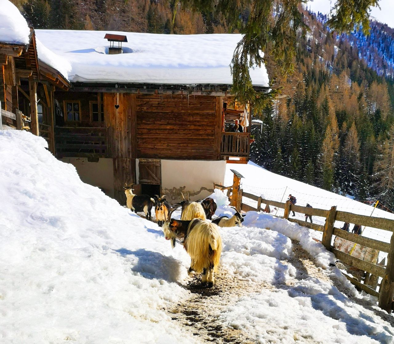 Zuid Tirol Italie Wintersport31