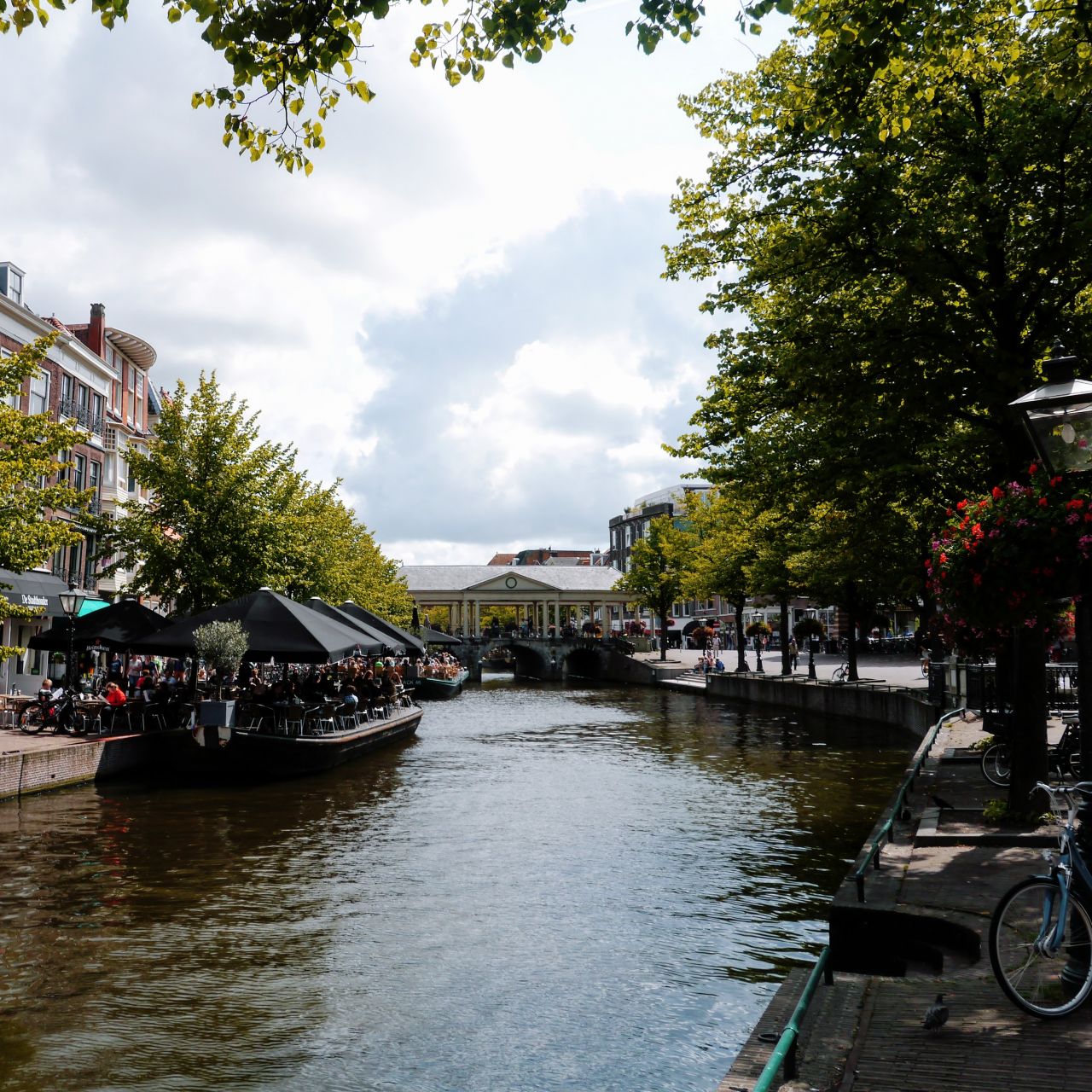 Leiden stedentrip 8