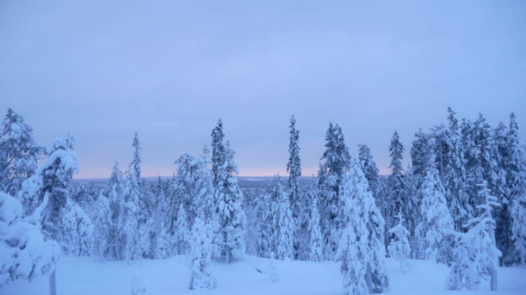 snow landscape Rovaniemi Lapland
