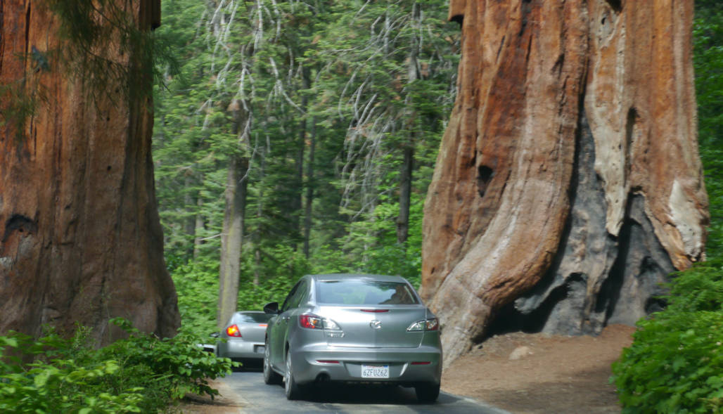 Sequoia route