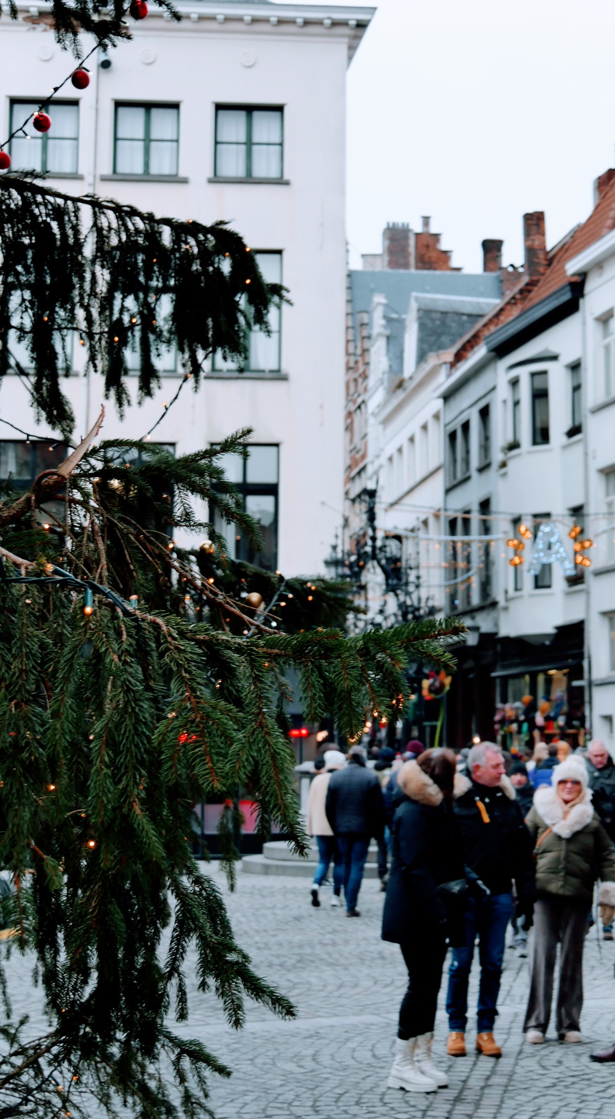 Winter in Antwerpen 15