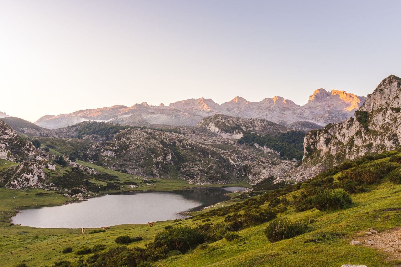 Picos de Europa