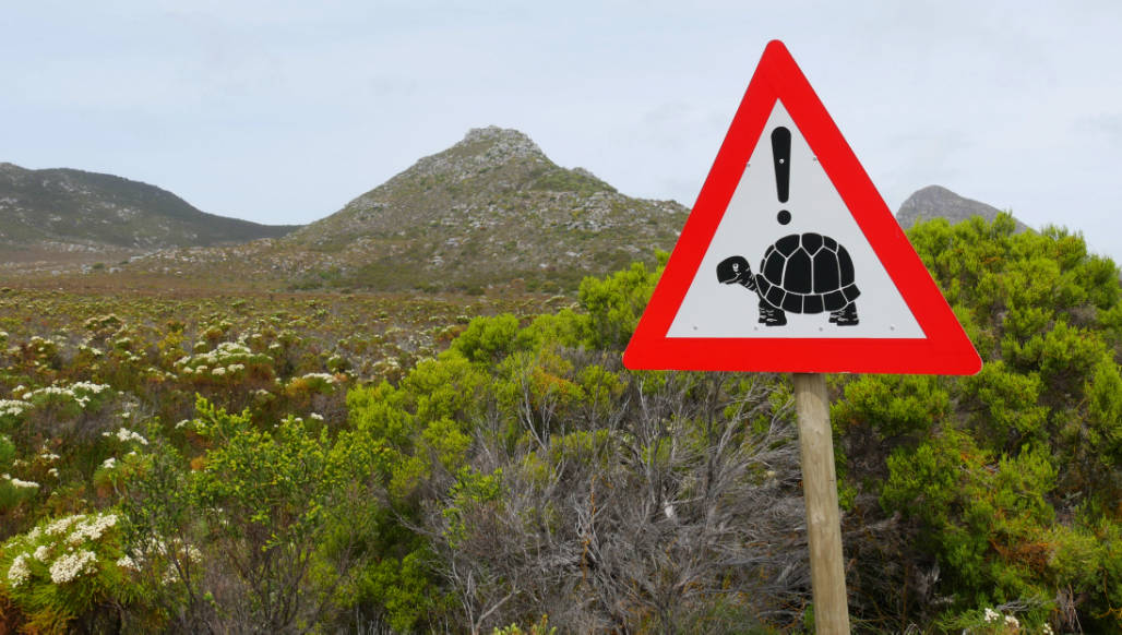 auto huren zuid afrika