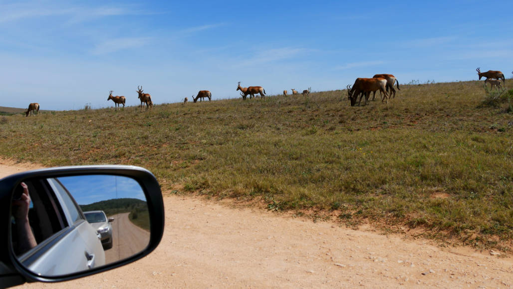 auto huren zuid afrika wegen