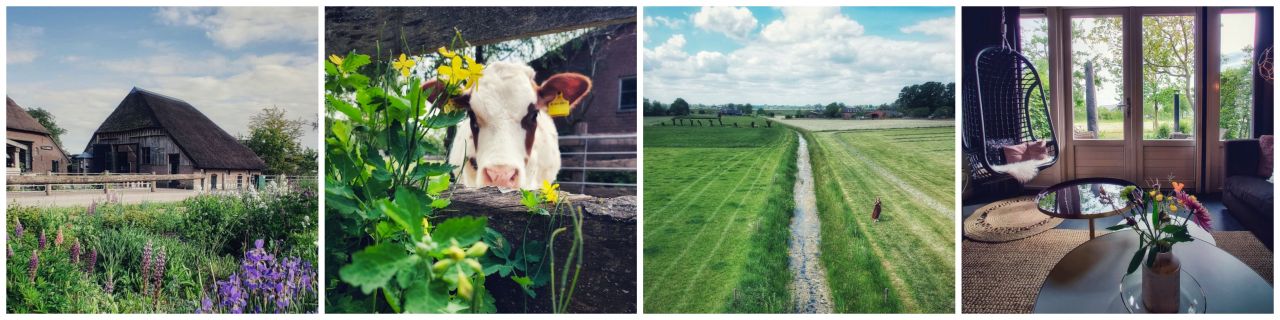 De Kleine Wildenberg boerderij