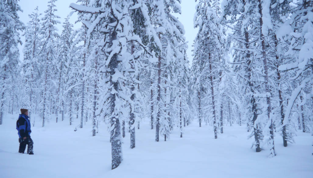 wintersport dichtbij