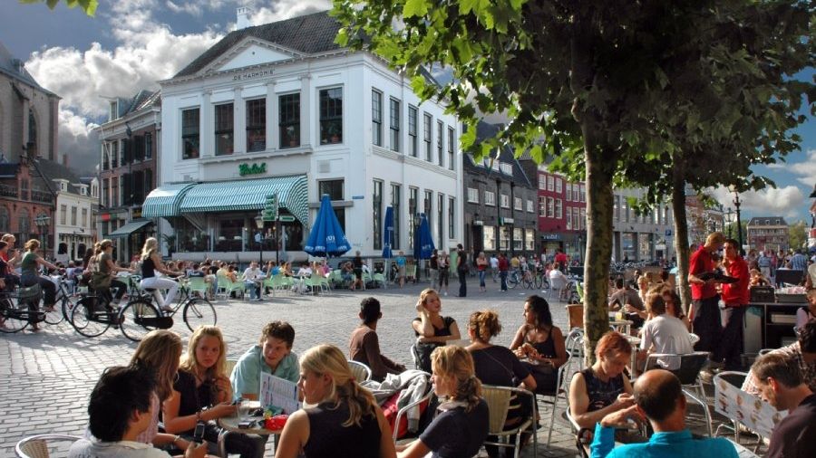 Zwolle terras stedentrip