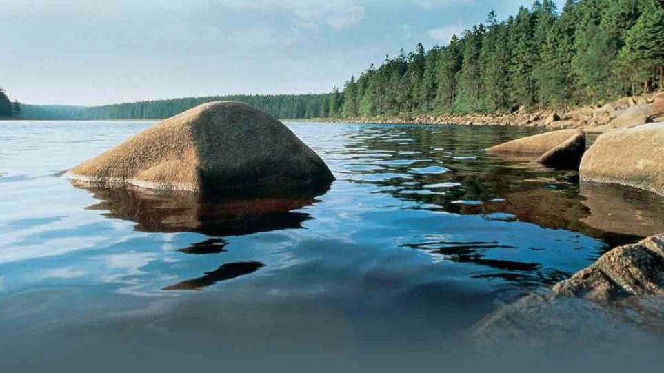 Nedersaksenmeer