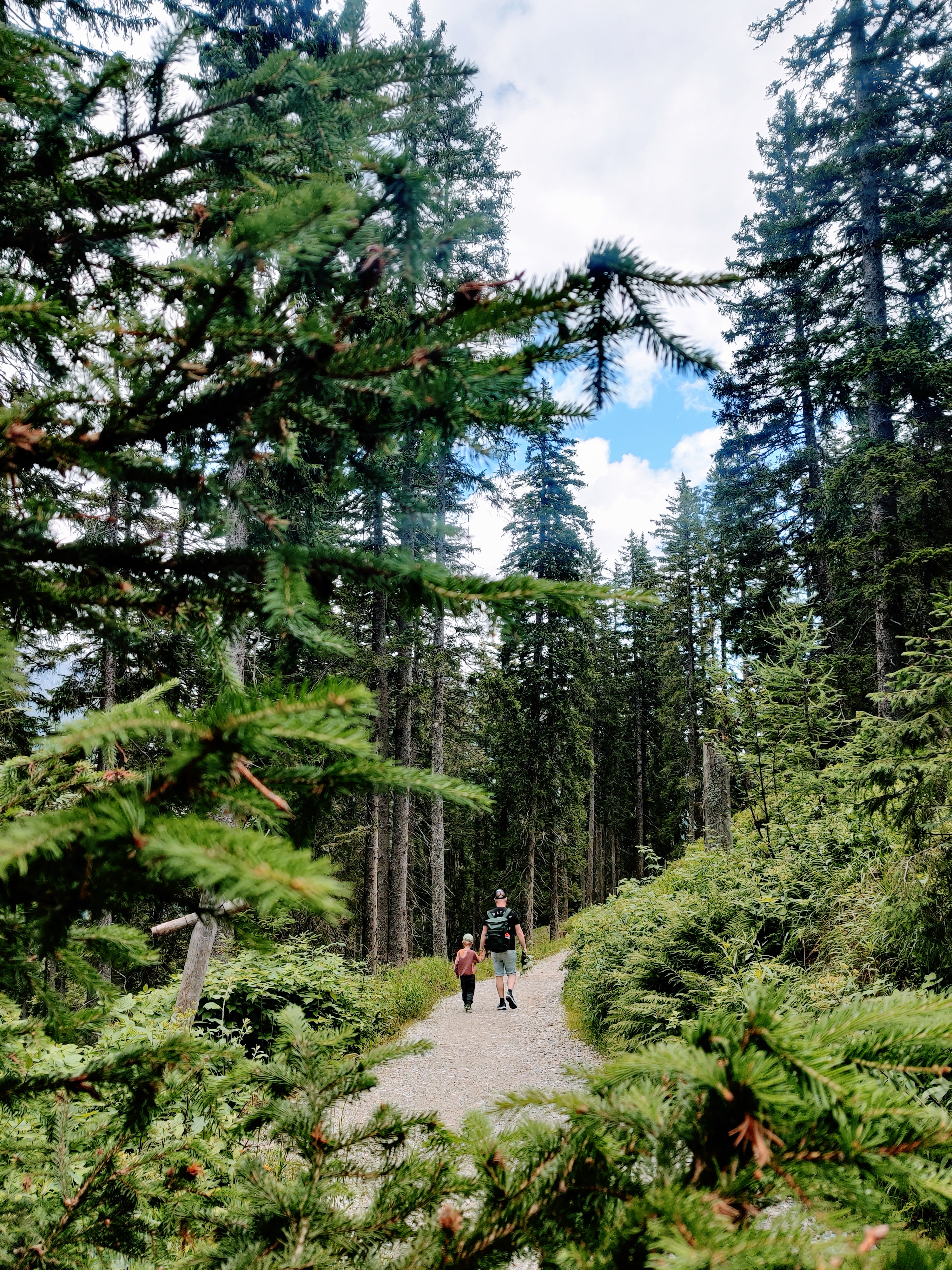 Prinzenberg Natrun Hochkönig Salzburgerland 8