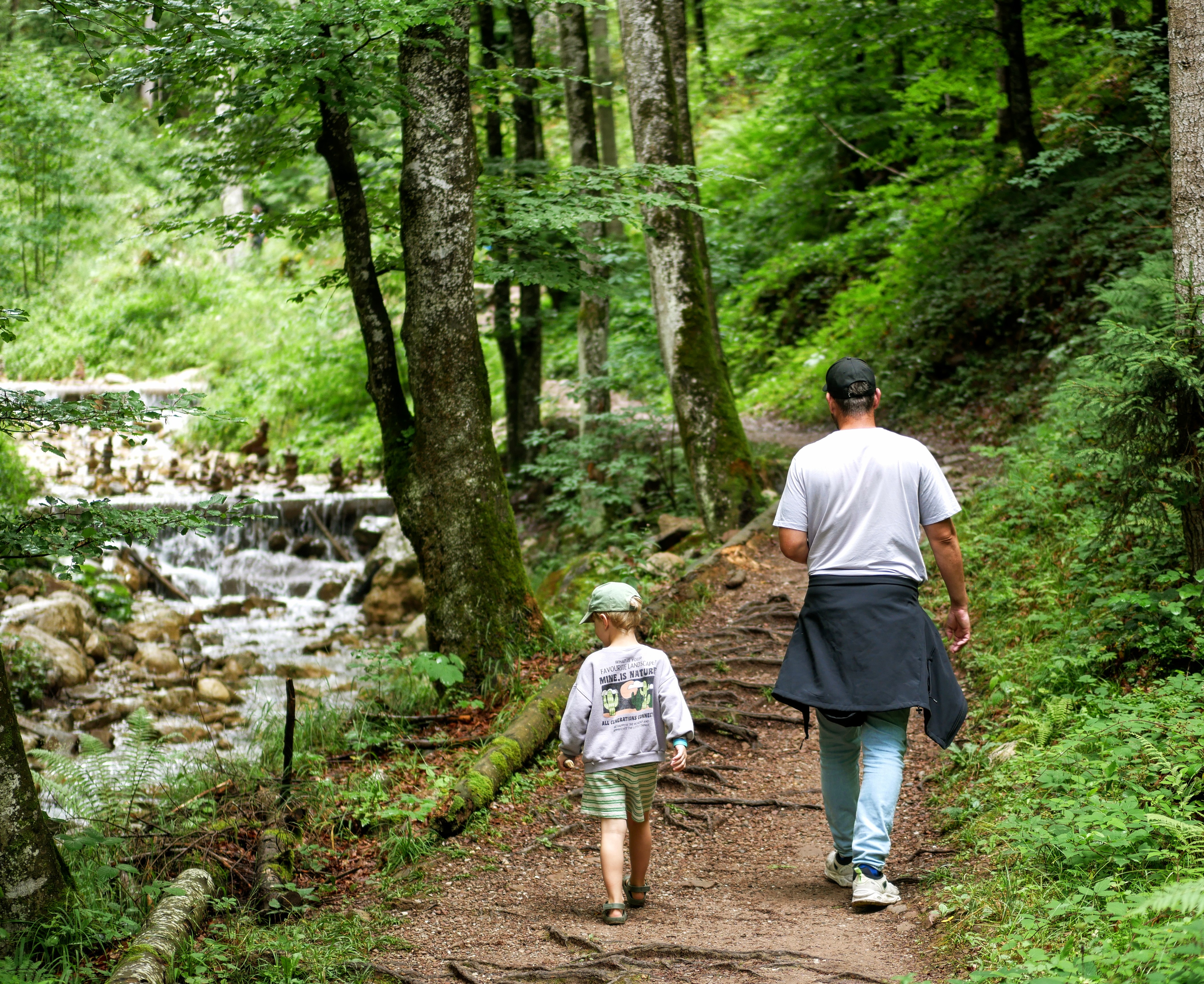 Rehbachklamm Scheffau 1