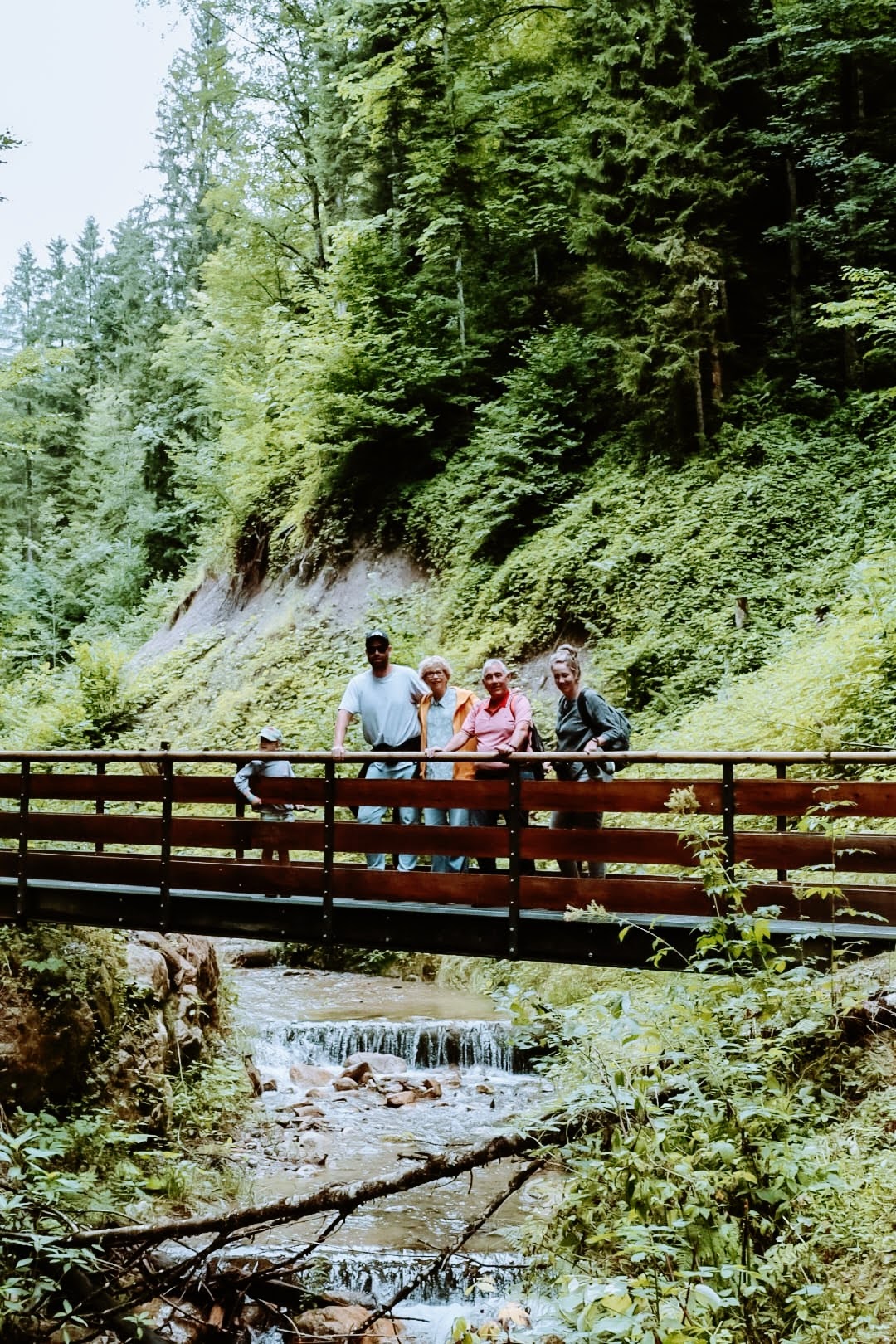 Rehbachklamm Scheffau 3