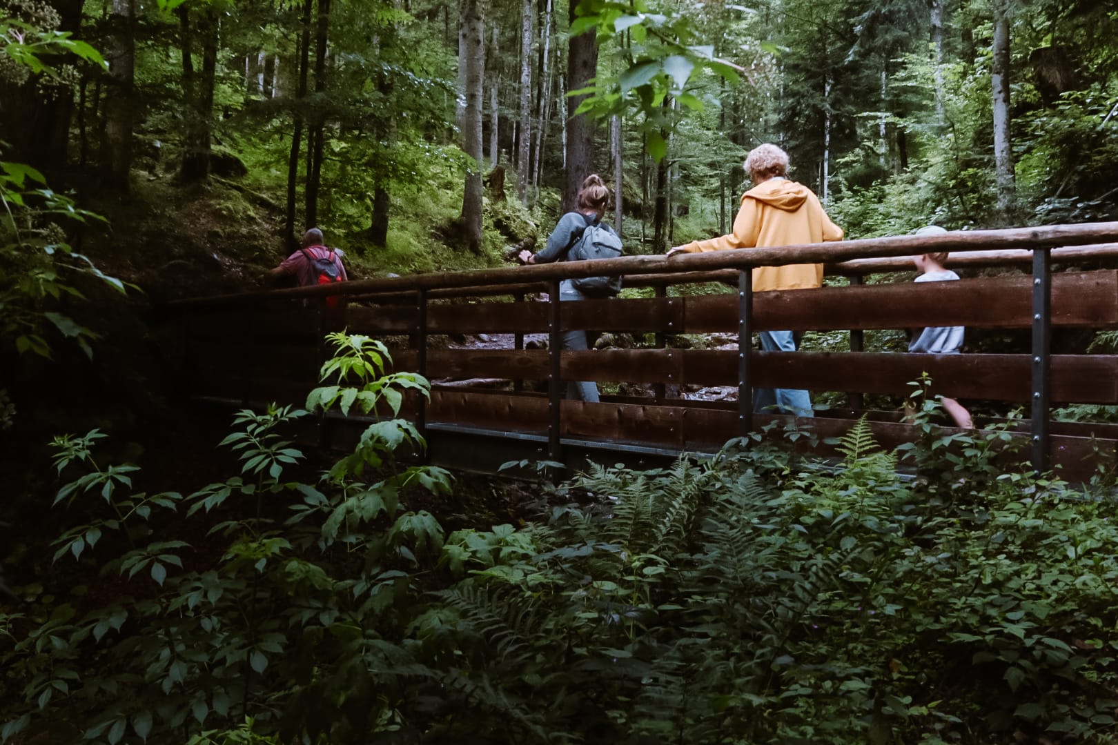 Rehbachklamm Scheffau 5