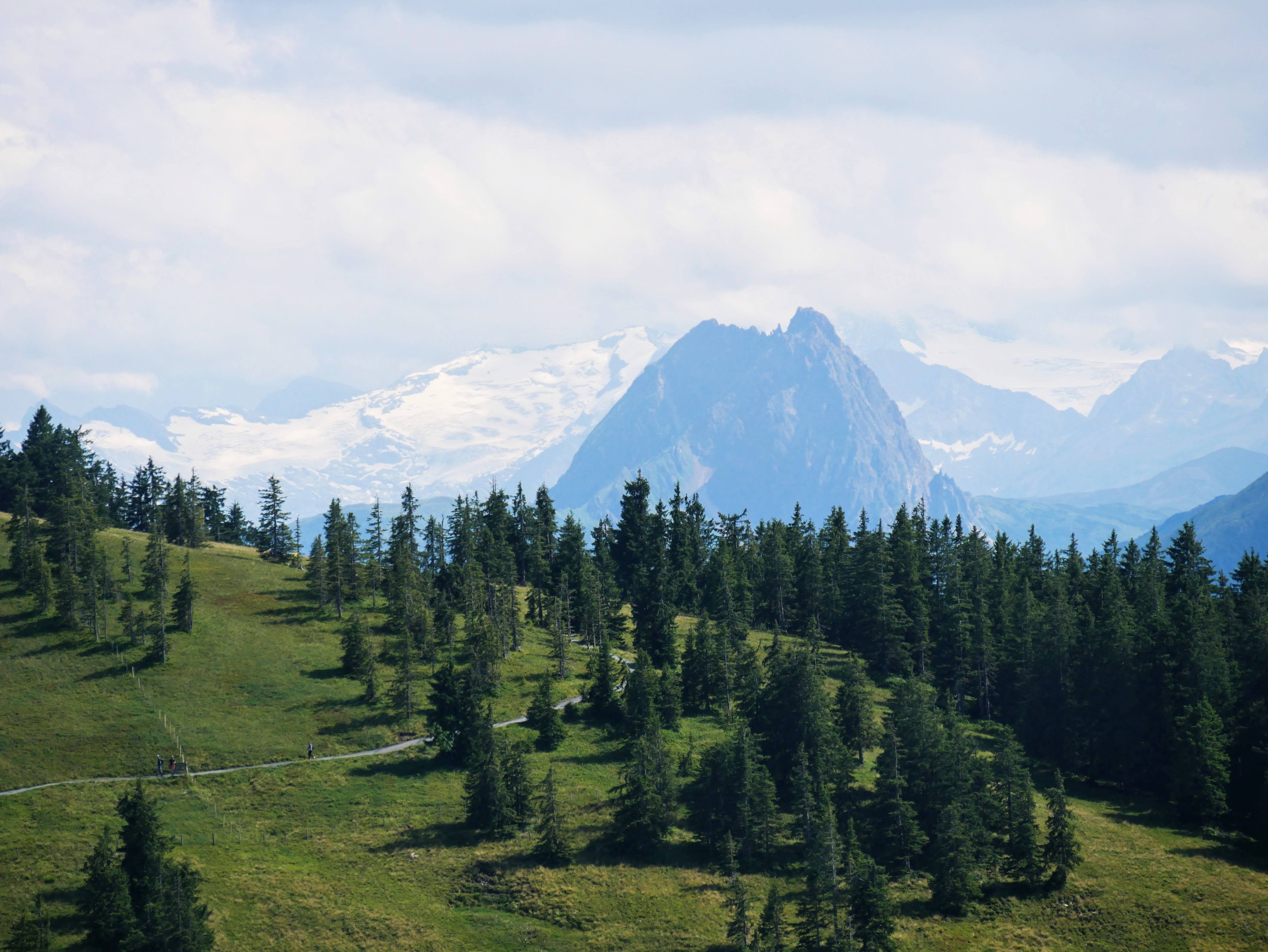 Soll Wilder Kaiser 2