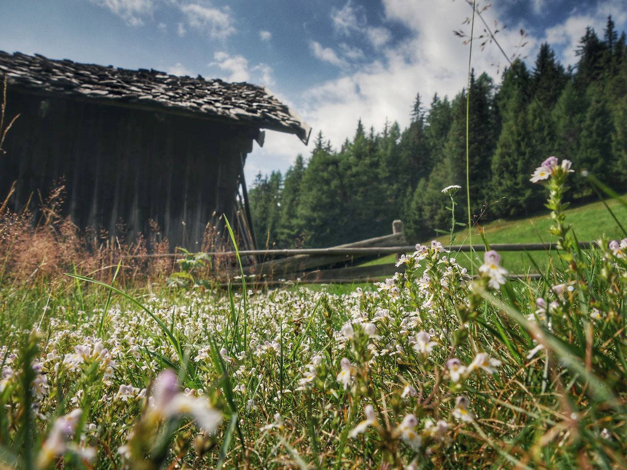 Gitschberg Jochtal Zuid Tirol almhut