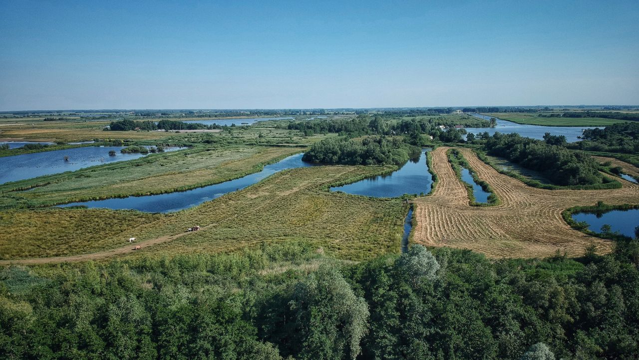 Zuidoost Friesland Het Andere Friesland De Alde Feanen