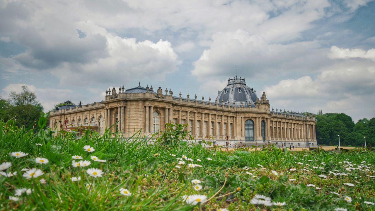 Africamusem Tervuren Brussel hoofdfoto