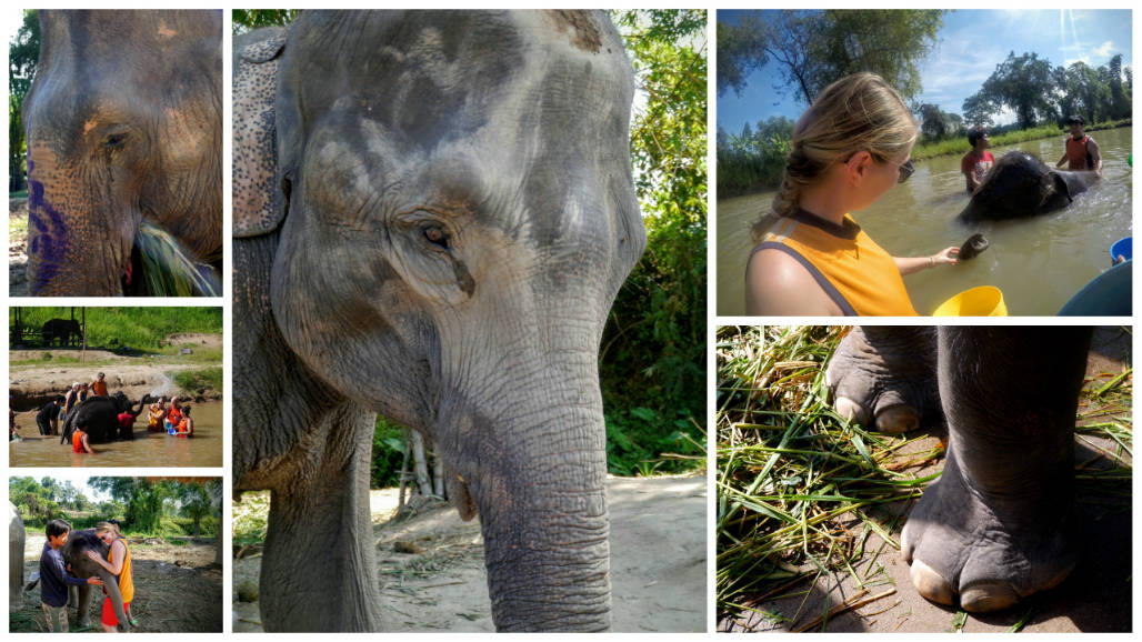 Chiang Mai4
