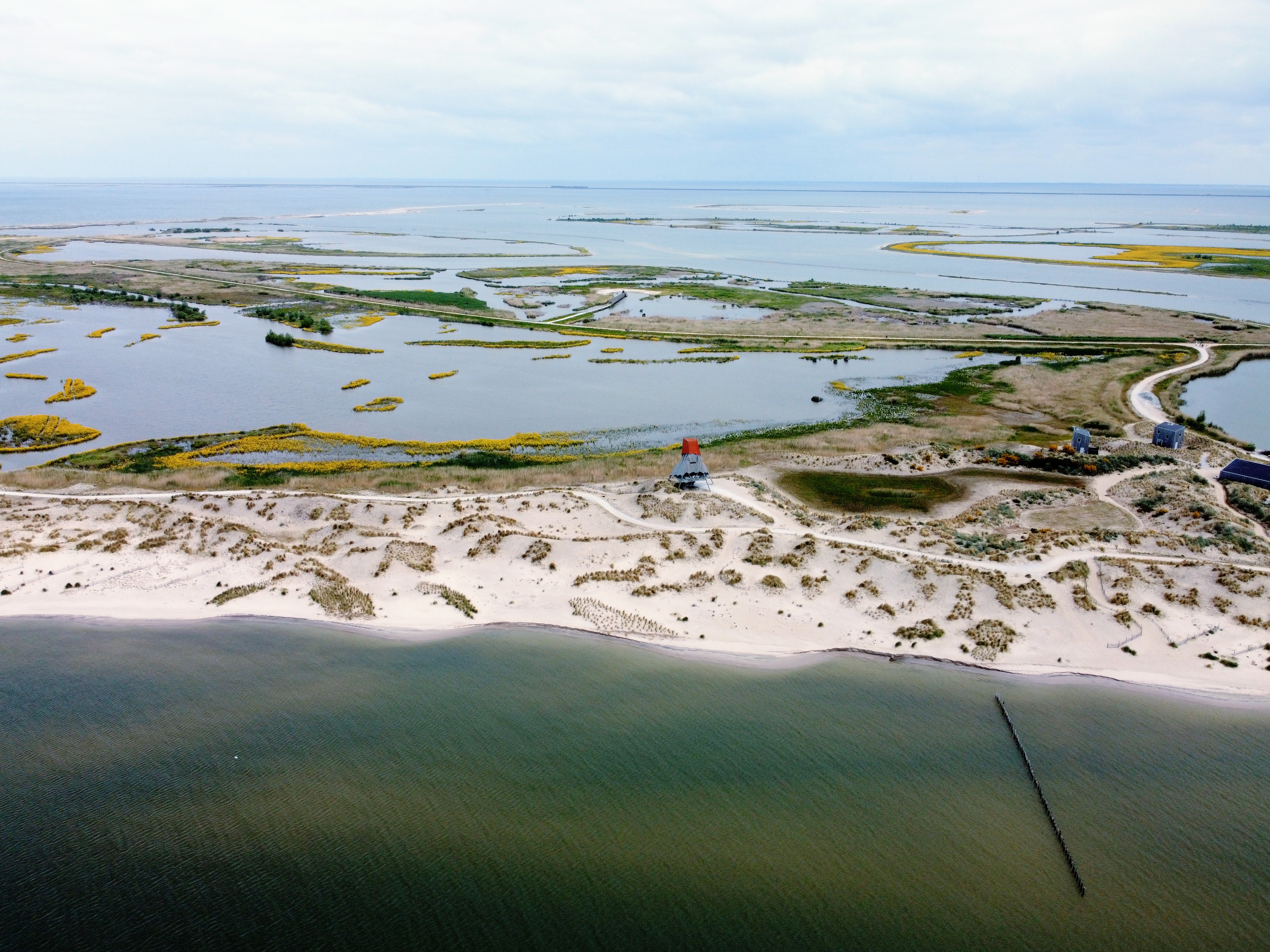 De Marker Wadden Flevoland 25