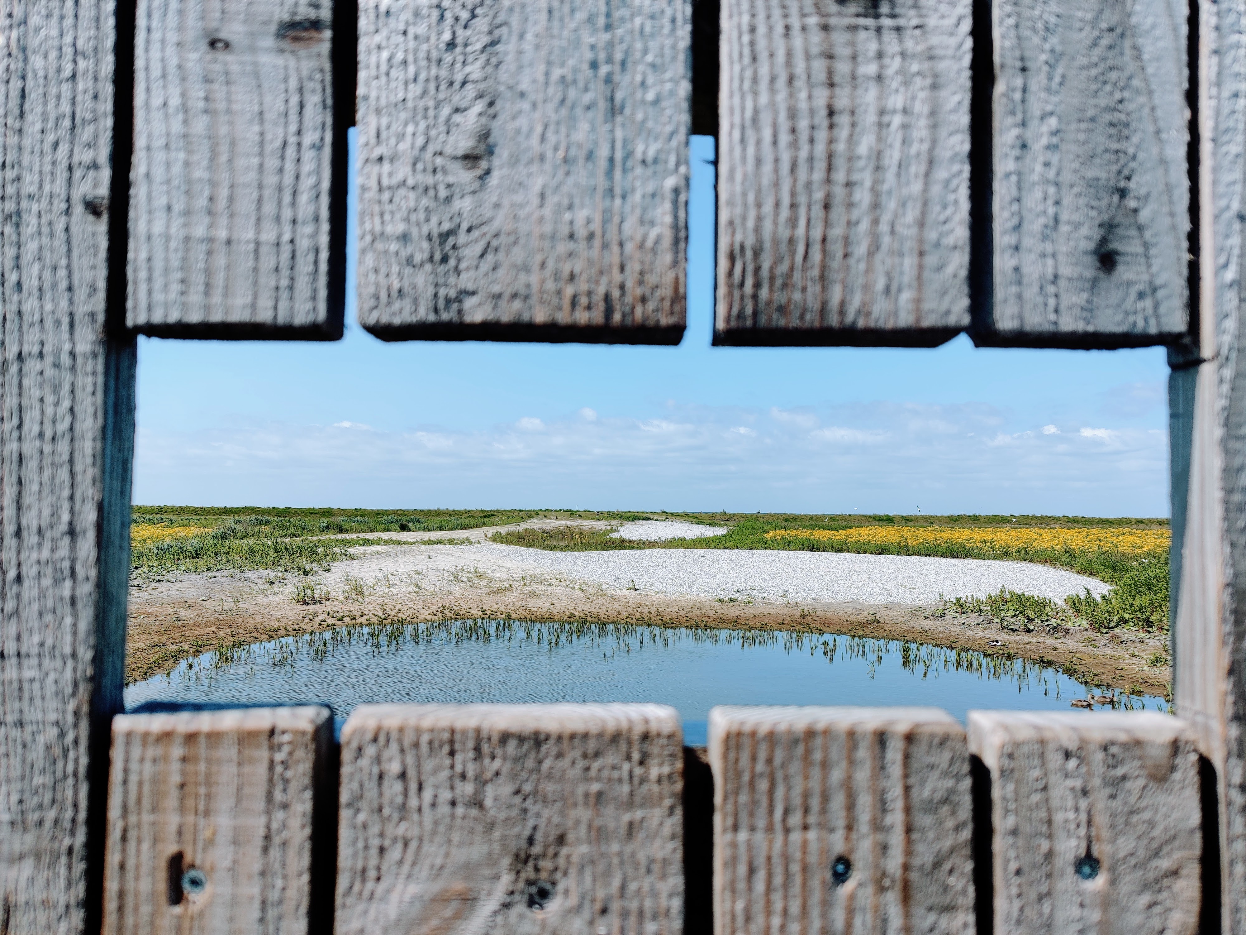 De Marker Wadden Flevoland 34