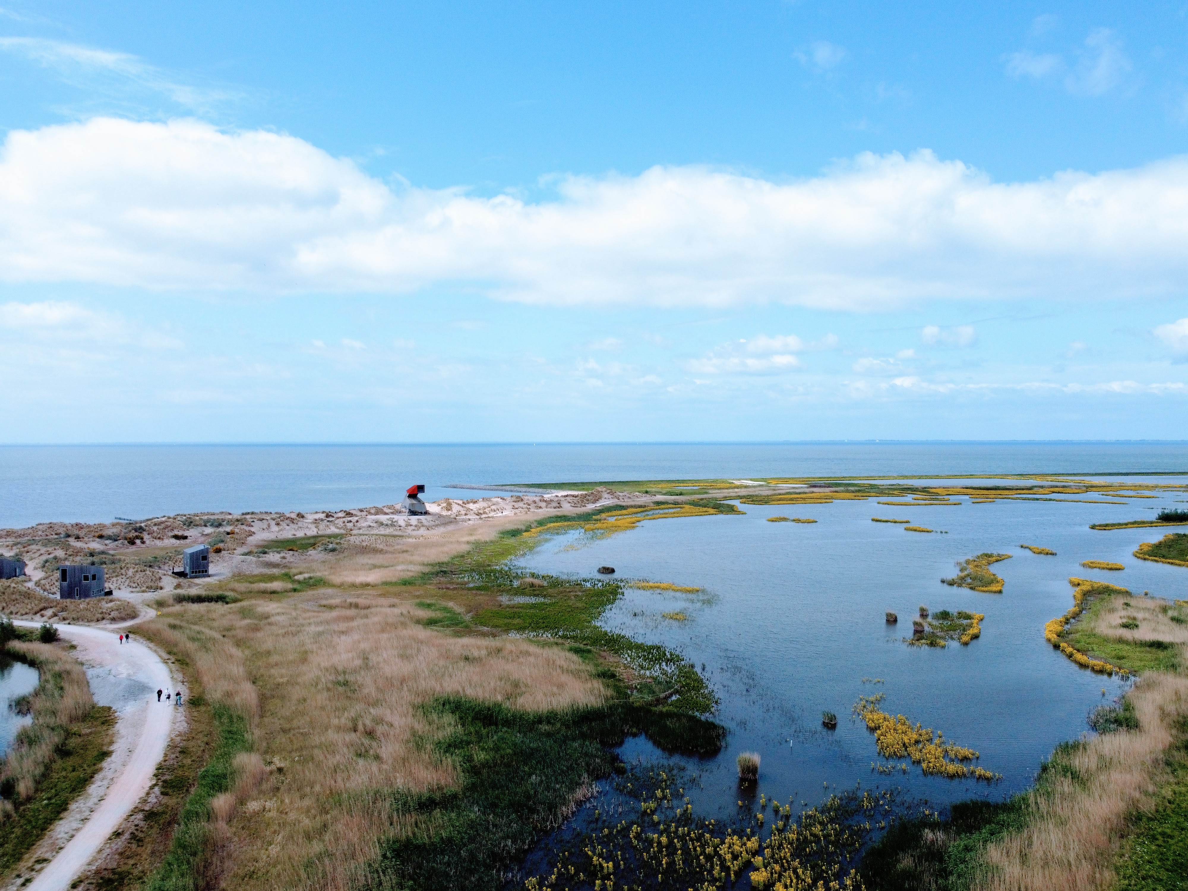 De Marker Wadden Flevoland 37