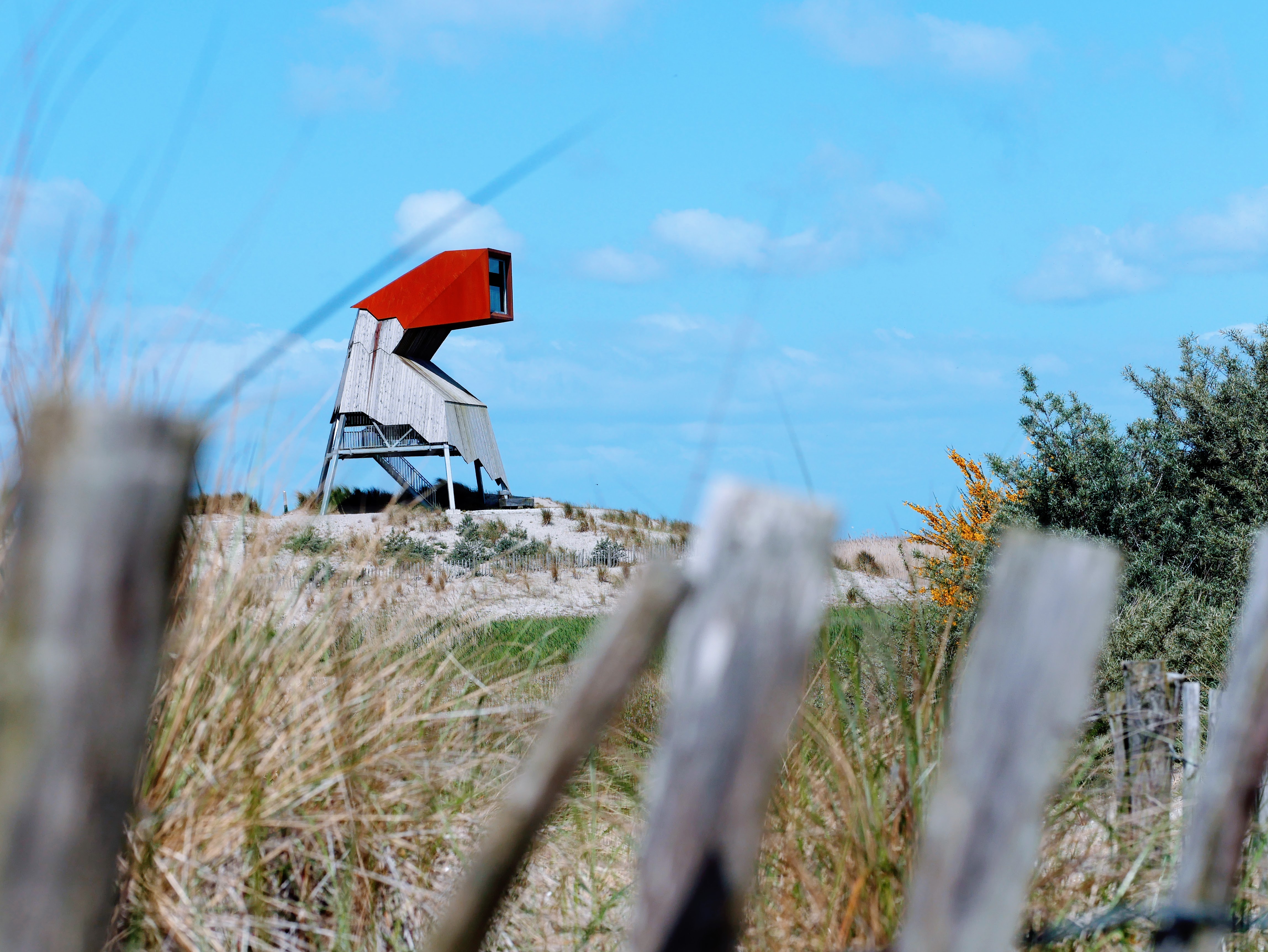 De Marker Wadden Flevoland 44