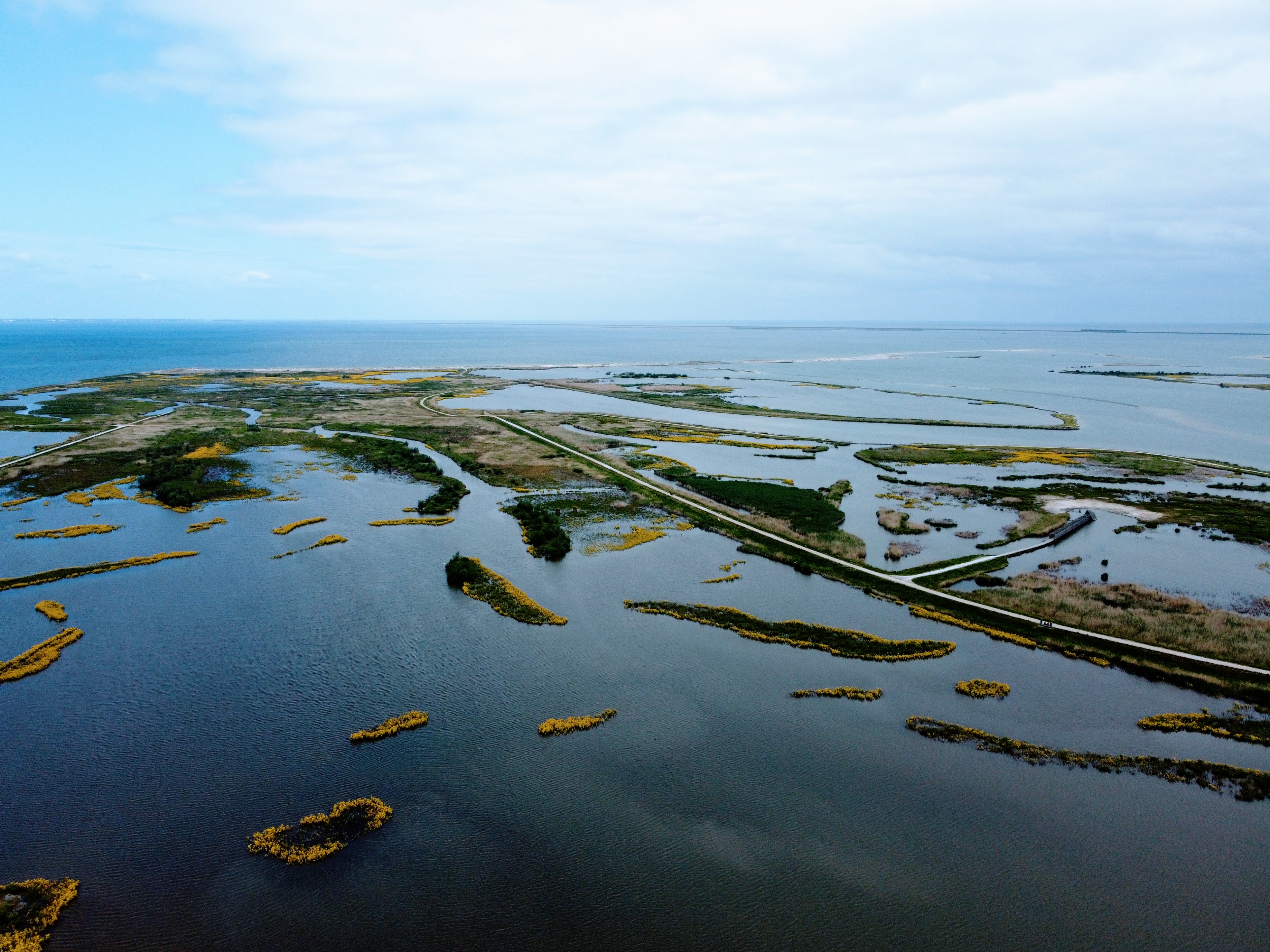 De Marker Wadden Flevoland 49