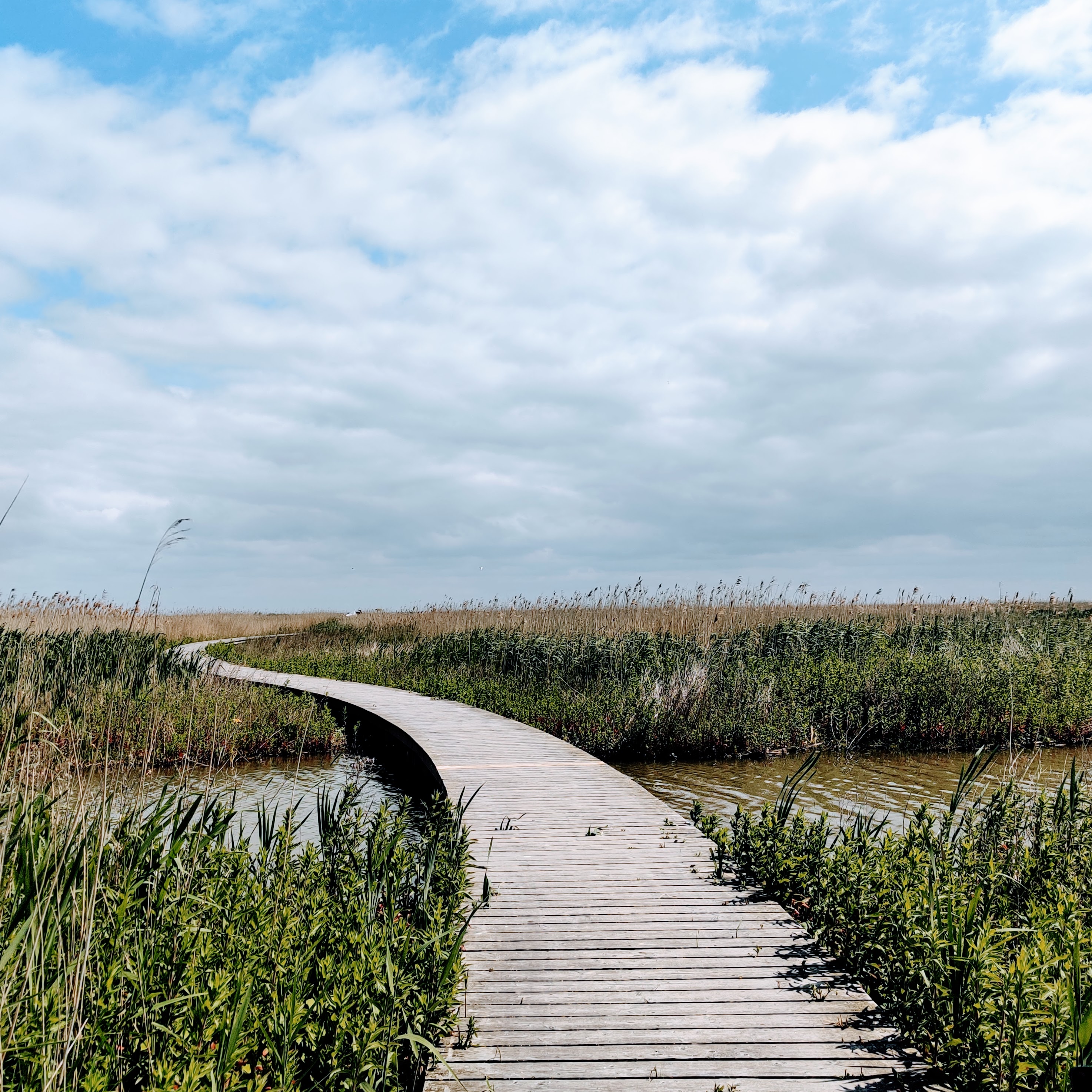 De Marker Wadden Flevoland 51