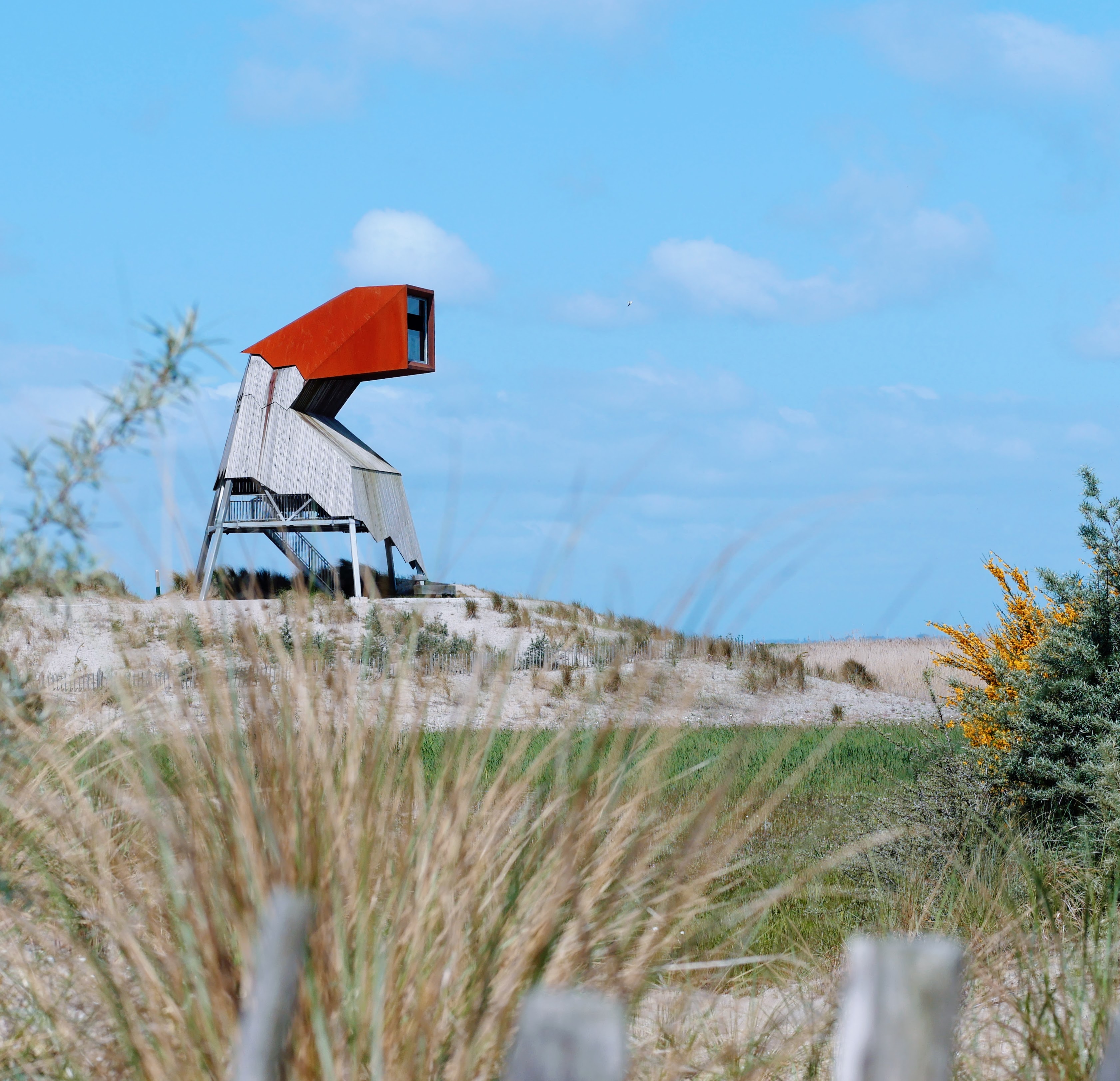 De Marker Wadden Flevoland 59