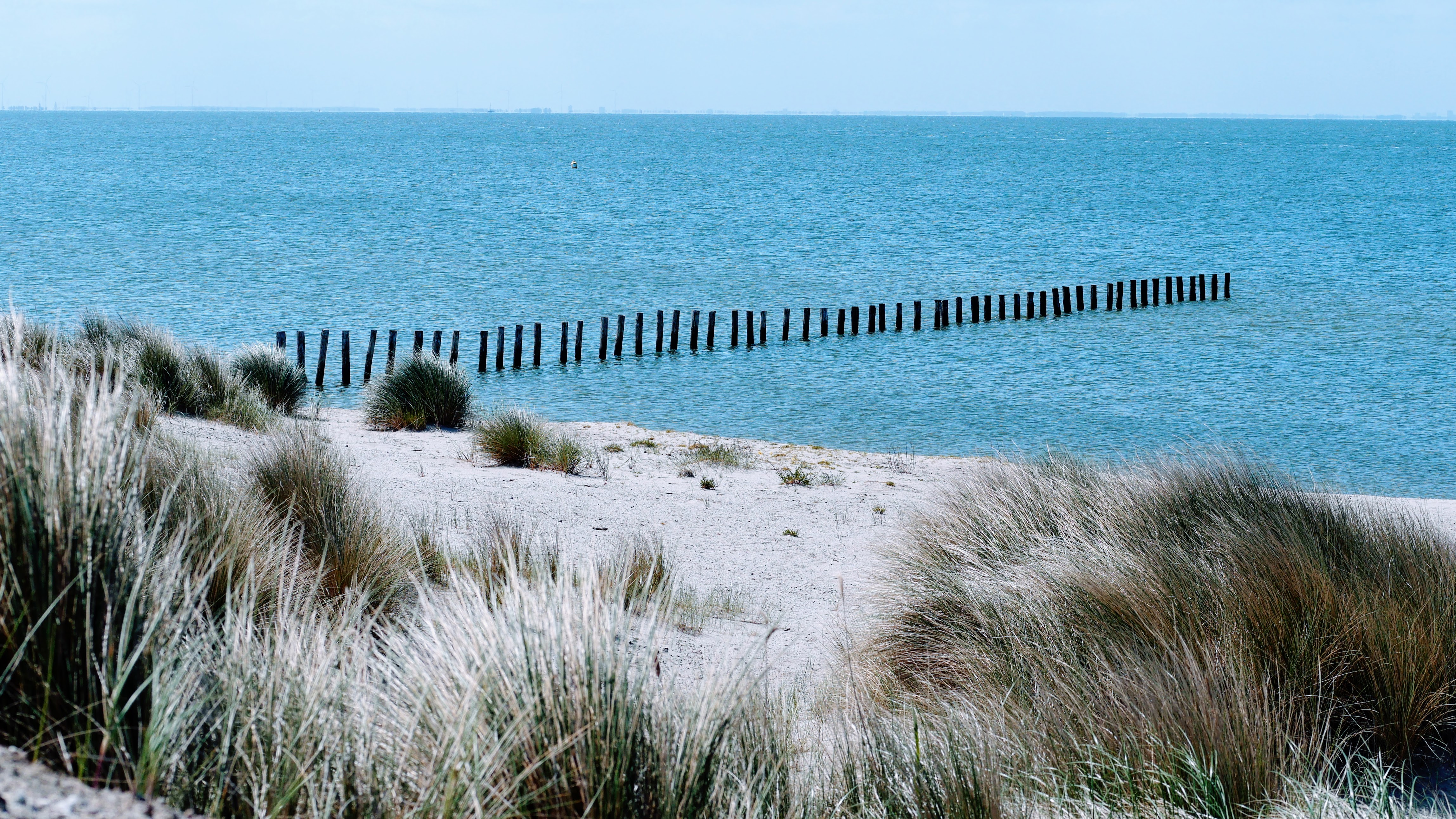 De Marker Wadden Flevoland 6