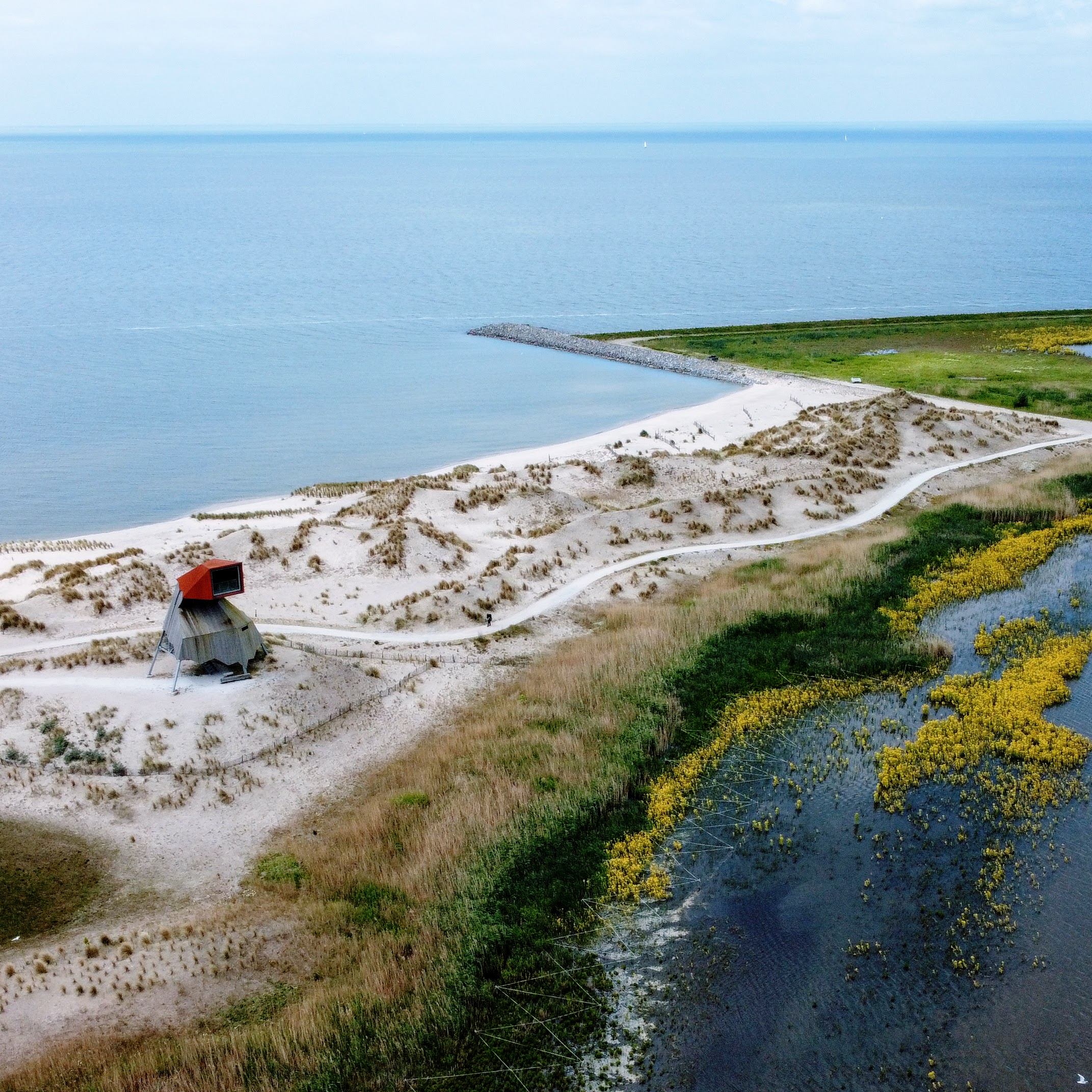 De Marker Wadden Flevoland 63