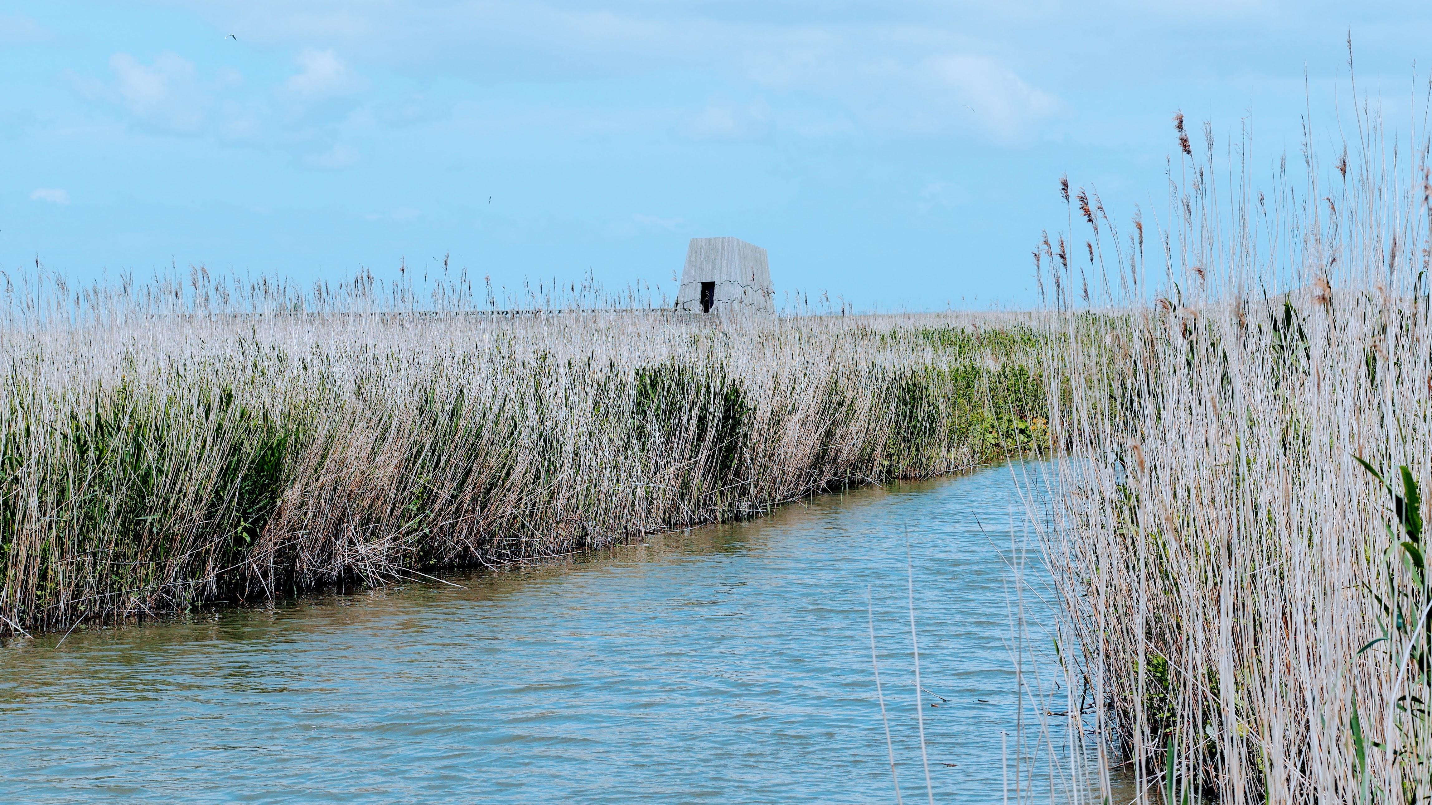 De Marker Wadden Flevoland 8