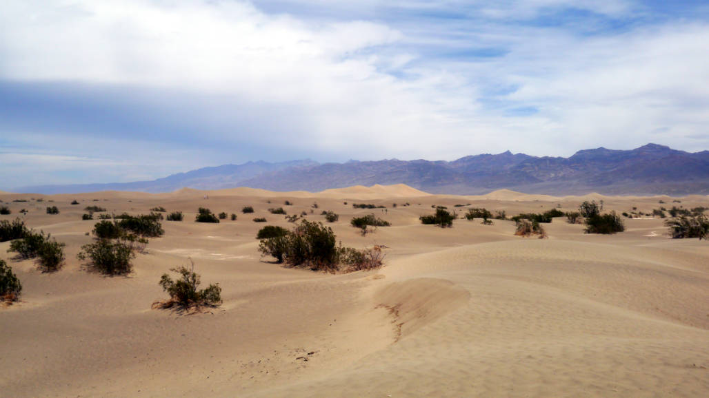 Sand Dunes Death Valley