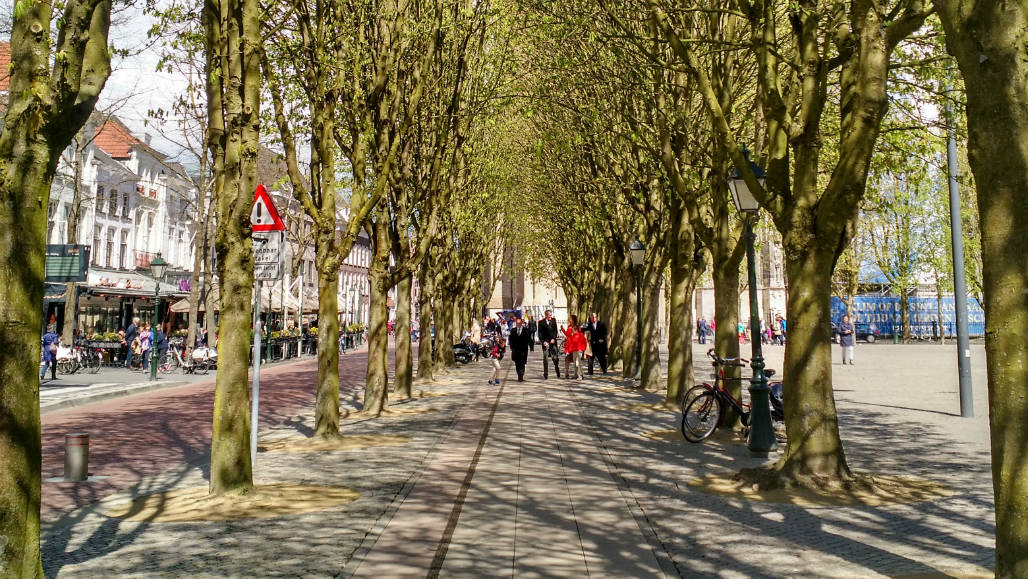 Den Bosch shoppen stedentrip