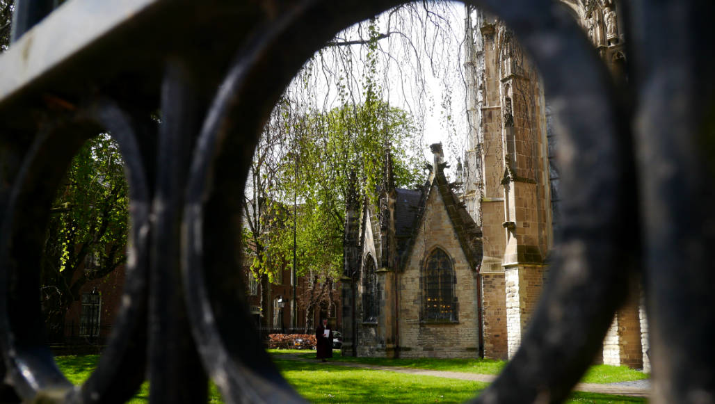 Den Bosch tuin kathedraal Sint Jan