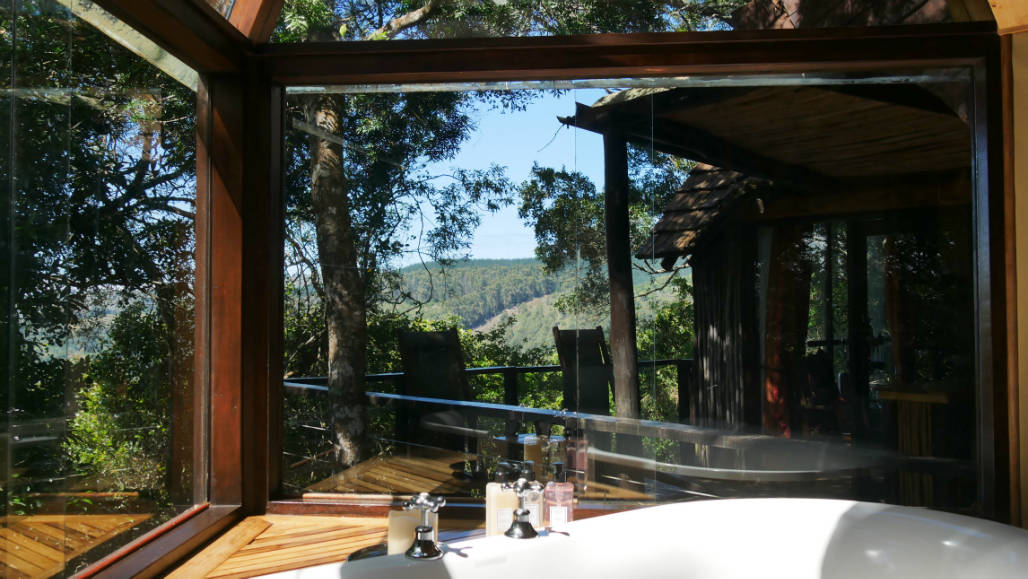 Knysna Eco Boomhut Treesuite