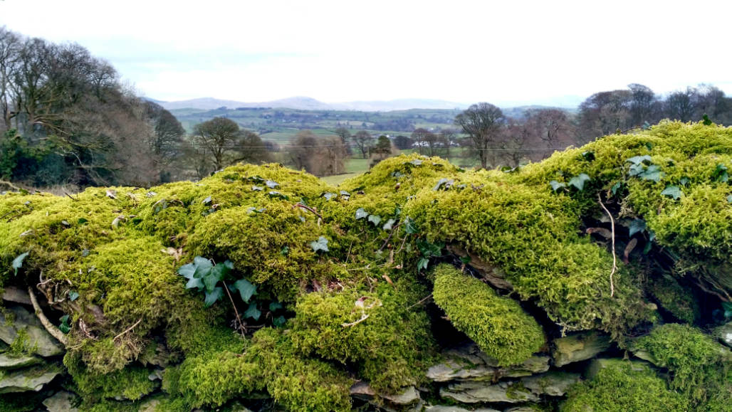 Lake District England nature