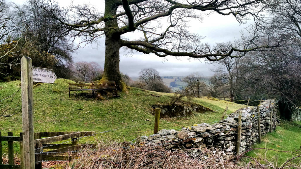 Lake District hiking trails