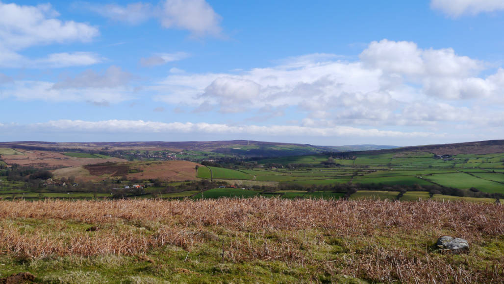 North York Moors national park