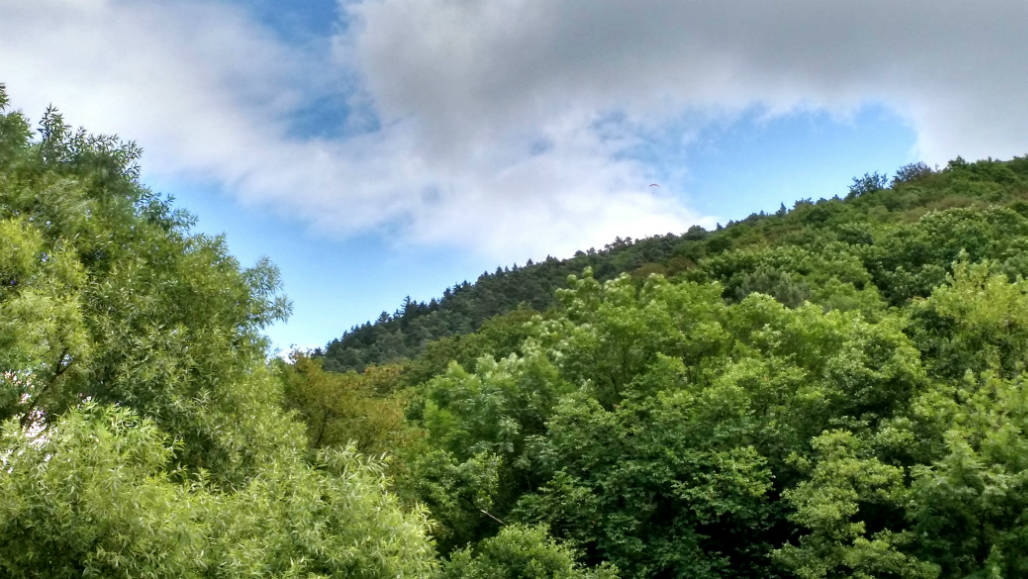 Ardennen mooiste natuurparken