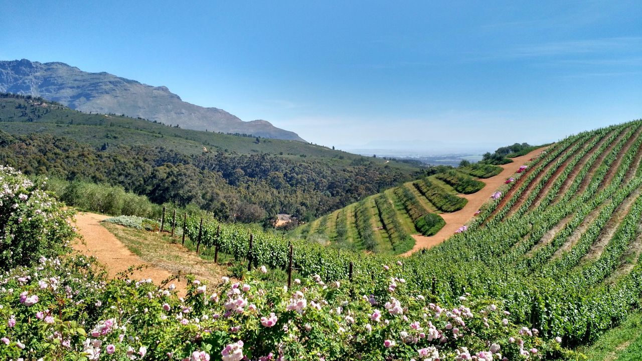 Stellenbosch reistips Zuid Afrika