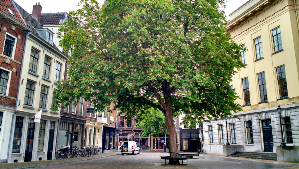 Utrecht bezienswaardigheden