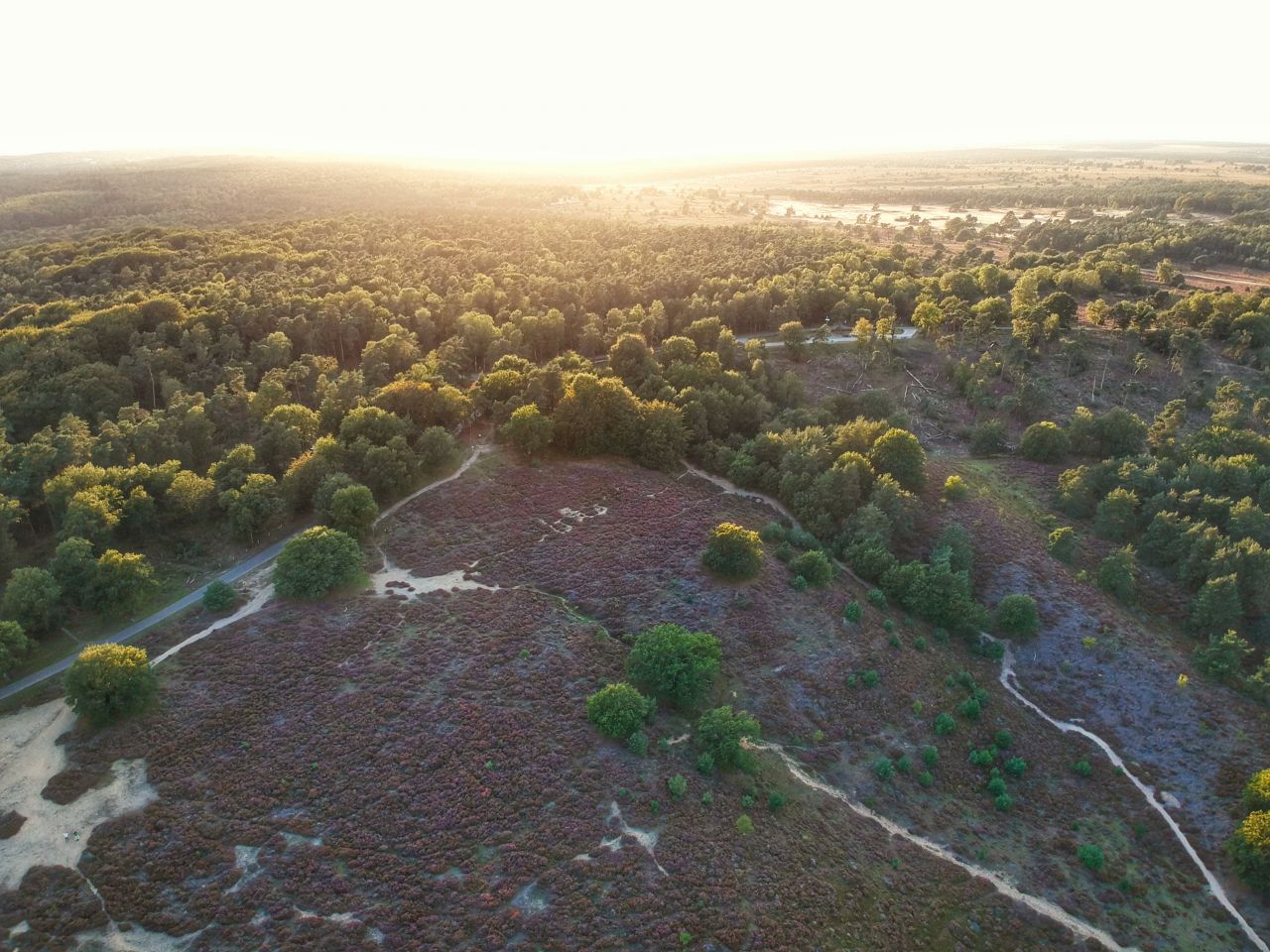 De Posbank Veluwe sunset