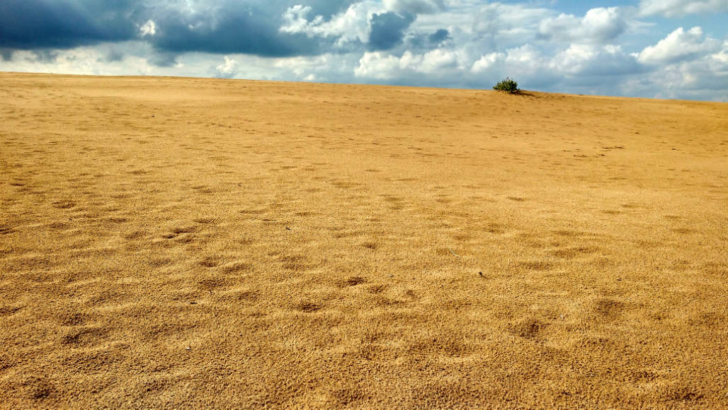 Veluwe zandverstuivingen natuur