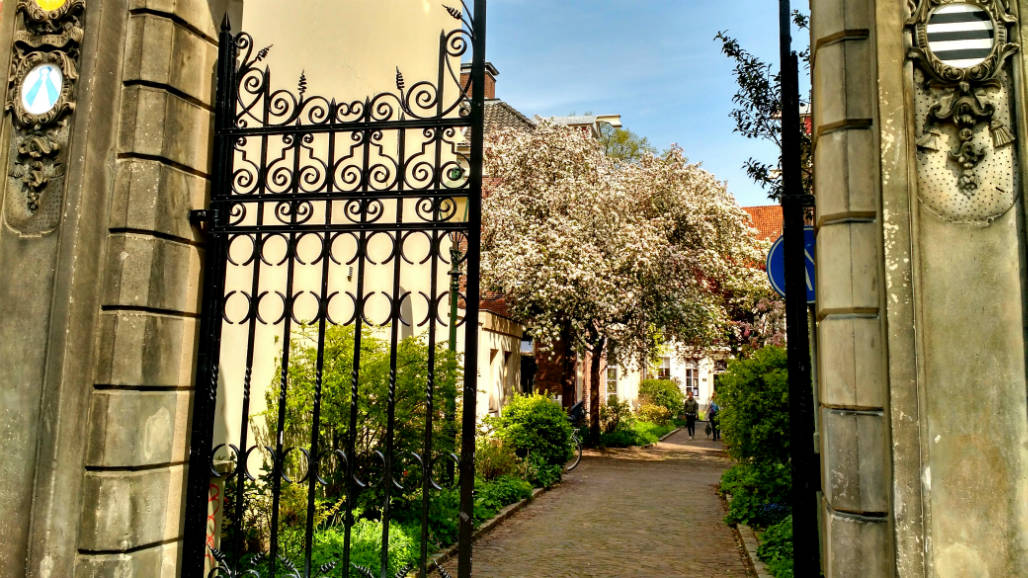 zutphen pleintjes stedentrip