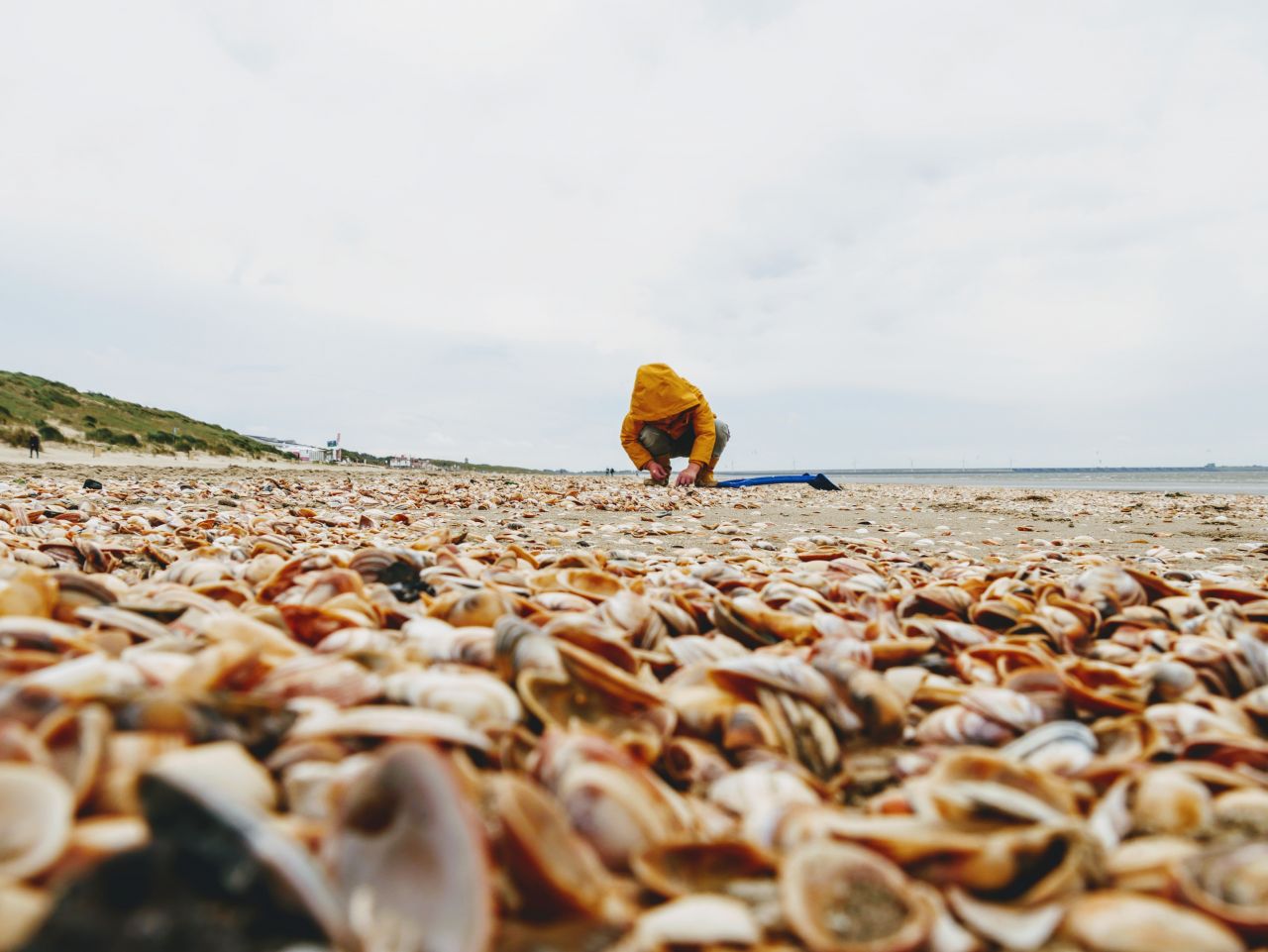 Rockanje aan zee VoornePutten 15