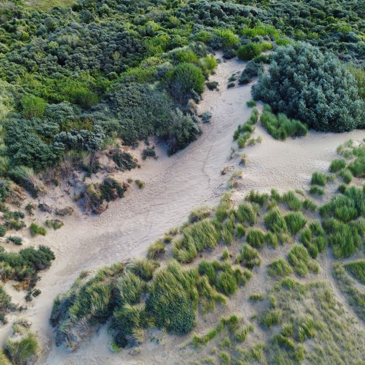 Rockanje aan zee drone15