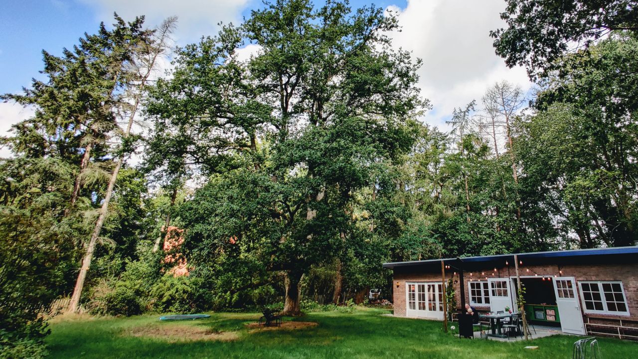 Boshuisje XL Epse Deventer tuin9