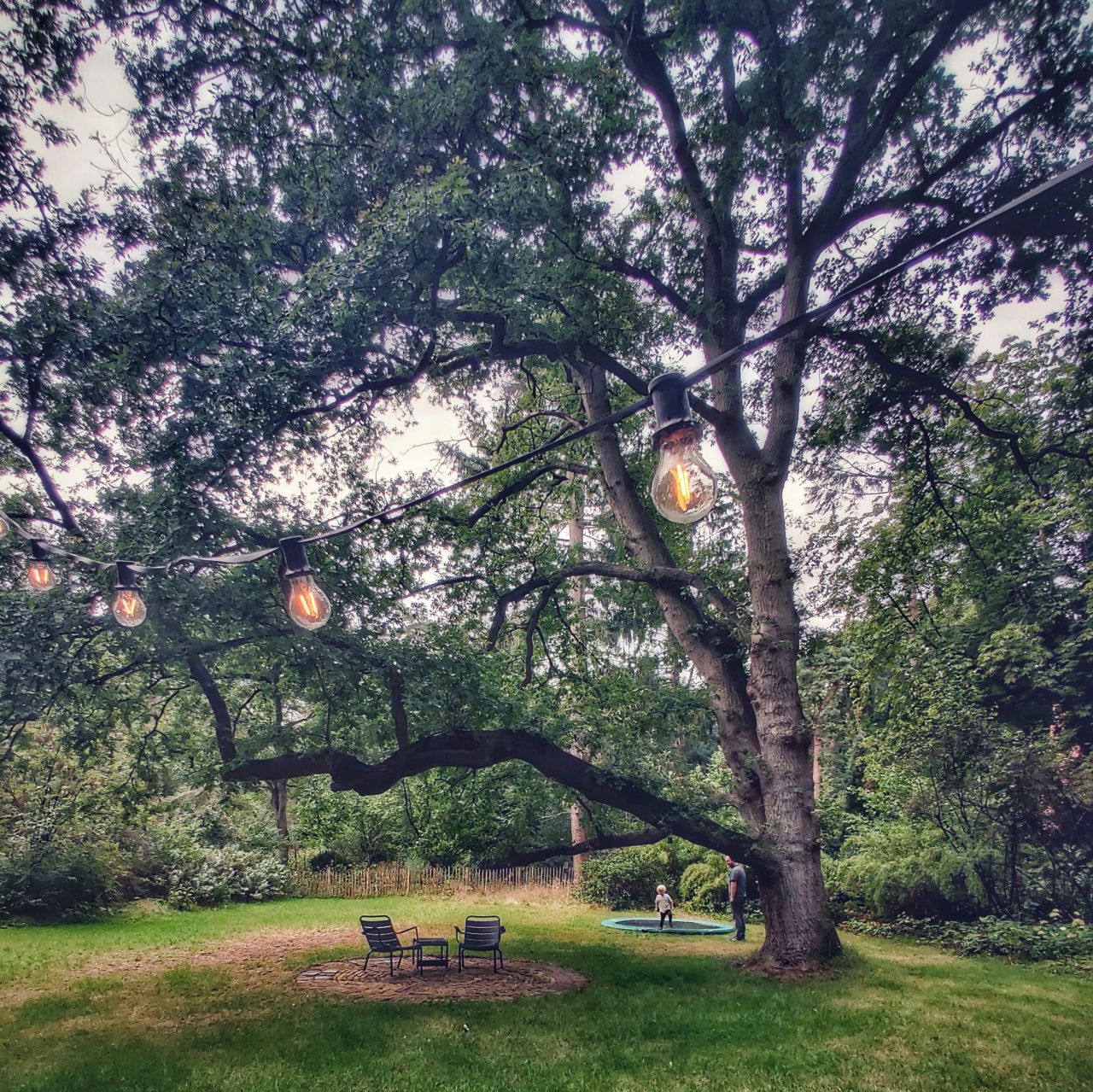 Boshuisje XL natuurhuisje Epse oude eik