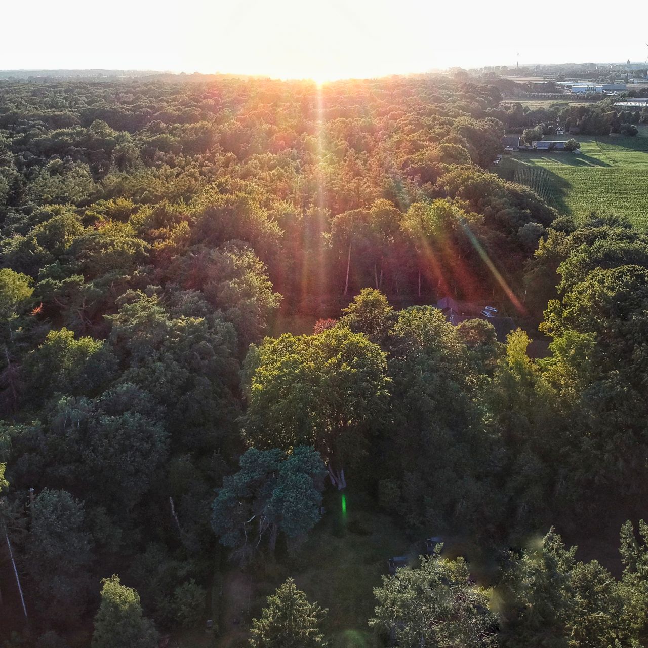 Boshuisje XL natuurhuisje Epse zonsondergang