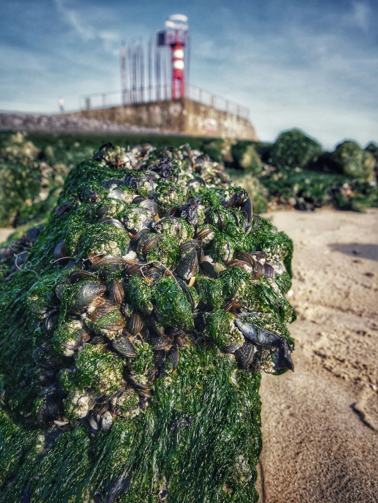 Vlissingen mosselen vuurtoren